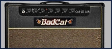 BAD CAT - CUB III SERIES
