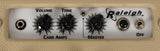 Carr Raleigh 1x10 Combo Amp, Cream, Black Gator Front Panel - Humbucker Music