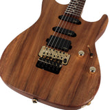 Reb Beach Signature Standard Guitar, Roasted Alder, Koa - Humbucker Music