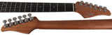 Suhr Select Standard Mahogany HH Guitar, Quilt Suhr Burst - Humbucker Music
