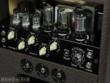 Swart Atomic Space Tone AST Amp in Ostrich
