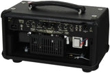 _ Mesa Boogie Mark Five 25 Head - Black - Gold